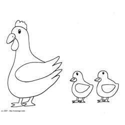 Malvorlage: Henne (Tiere) #17454 - Kostenlose Malvorlagen zum Ausdrucken