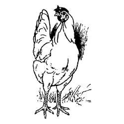 Malvorlage: Henne (Tiere) #17460 - Kostenlose Malvorlagen zum Ausdrucken