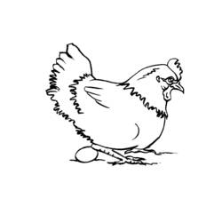 Malvorlage: Henne (Tiere) #17463 - Kostenlose Malvorlagen zum Ausdrucken