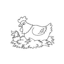 Malvorlage: Henne (Tiere) #17511 - Kostenlose Malvorlagen zum Ausdrucken