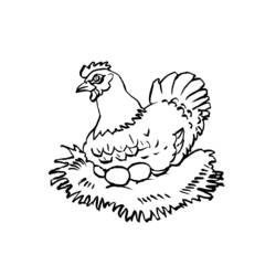 Malvorlage: Henne (Tiere) #17532 - Kostenlose Malvorlagen zum Ausdrucken