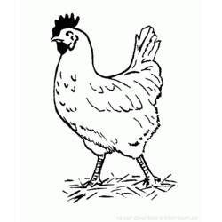 Malvorlage: Huhn (Tiere) #17226 - Kostenlose Malvorlagen zum Ausdrucken