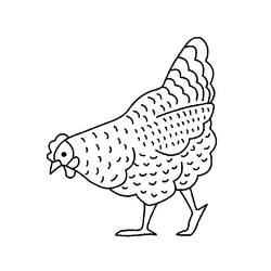 Malvorlage: Huhn (Tiere) #17228 - Kostenlose Malvorlagen zum Ausdrucken