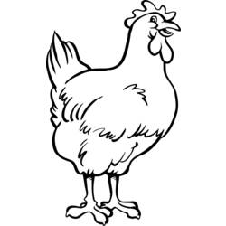 Malvorlage: Huhn (Tiere) #17262 - Kostenlose Malvorlagen zum Ausdrucken