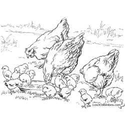 Malvorlage: Huhn (Tiere) #17265 - Kostenlose Malvorlagen zum Ausdrucken