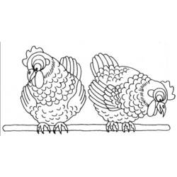 Malvorlage: Huhn (Tiere) #17278 - Kostenlose Malvorlagen zum Ausdrucken
