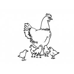 Malvorlage: Huhn (Tiere) #17281 - Kostenlose Malvorlagen zum Ausdrucken