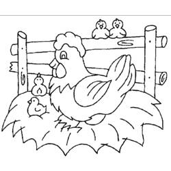 Malvorlage: Huhn (Tiere) #17325 - Kostenlose Malvorlagen zum Ausdrucken