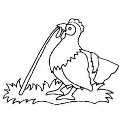 Malvorlage: Huhn (Tiere) #17342 - Kostenlose Malvorlagen zum Ausdrucken
