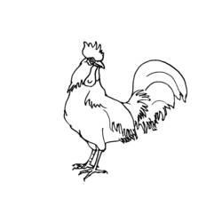 Malvorlage: Huhn (Tiere) #17383 - Kostenlose Malvorlagen zum Ausdrucken