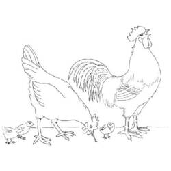 Malvorlage: Huhn (Tiere) #17390 - Kostenlose Malvorlagen zum Ausdrucken