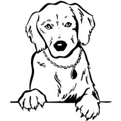 Malvorlage: Hund (Tiere) #18 - Kostenlose Malvorlagen zum Ausdrucken