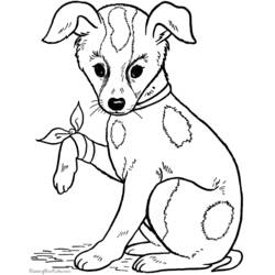 Malvorlage: Hund (Tiere) #27 - Kostenlose Malvorlagen zum Ausdrucken