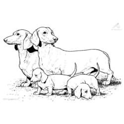 Malvorlage: Hund (Tiere) #3099 - Kostenlose Malvorlagen zum Ausdrucken