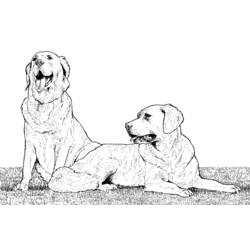 Malvorlage: Hund (Tiere) #3134 - Kostenlose Malvorlagen zum Ausdrucken