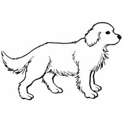 Malvorlage: Hund (Tiere) #3158 - Kostenlose Malvorlagen zum Ausdrucken