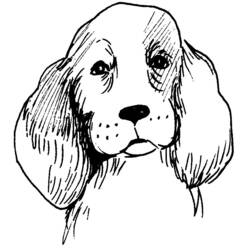 Malvorlage: Hund (Tiere) #3184 - Kostenlose Malvorlagen zum Ausdrucken