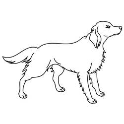 Malvorlage: Hund (Tiere) #3190 - Kostenlose Malvorlagen zum Ausdrucken