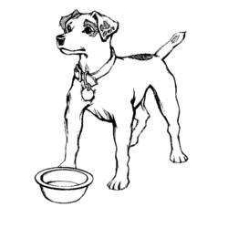 Malvorlage: Hund (Tiere) #4 - Kostenlose Malvorlagen zum Ausdrucken