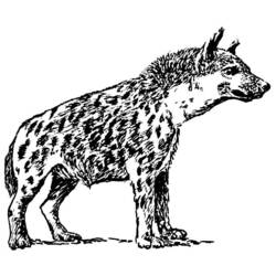 Malvorlage: Hyäne (Tiere) #19637 - Kostenlose Malvorlagen zum Ausdrucken