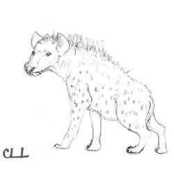 Malvorlage: Hyäne (Tiere) #19665 - Kostenlose Malvorlagen zum Ausdrucken