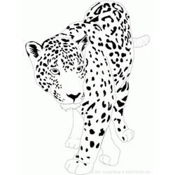 Malvorlage: Jaguar (Tiere) #9002 - Kostenlose Malvorlagen zum Ausdrucken