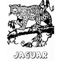 Malvorlage: Jaguar (Tiere) #9008 - Kostenlose Malvorlagen zum Ausdrucken