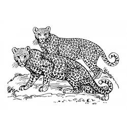 Malvorlage: Jaguar (Tiere) #9031 - Kostenlose Malvorlagen zum Ausdrucken