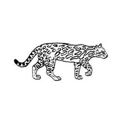 Malvorlage: Jaguar (Tiere) #9039 - Kostenlose Malvorlagen zum Ausdrucken