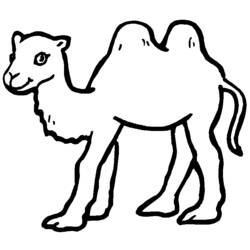 Malvorlage: Kamel (Tiere) #1661 - Druckbare Malvorlagen