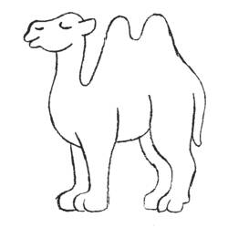 Malvorlage: Kamel (Tiere) #1664 - Druckbare Malvorlagen