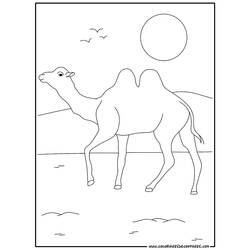 Malvorlage: Kamel (Tiere) #1672 - Druckbare Malvorlagen