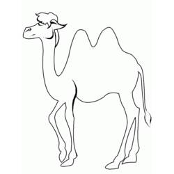 Malvorlage: Kamel (Tiere) #1674 - Druckbare Malvorlagen