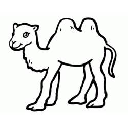 Malvorlage: Kamel (Tiere) #1681 - Druckbare Malvorlagen