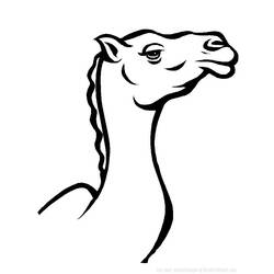 Malvorlage: Kamel (Tiere) #1685 - Druckbare Malvorlagen