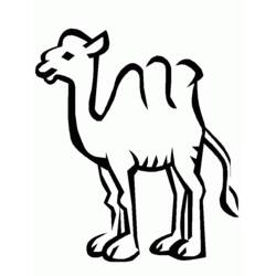 Malvorlage: Kamel (Tiere) #1693 - Druckbare Malvorlagen