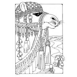 Malvorlage: Kamel (Tiere) #1694 - Druckbare Malvorlagen