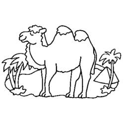 Malvorlage: Kamel (Tiere) #1697 - Druckbare Malvorlagen