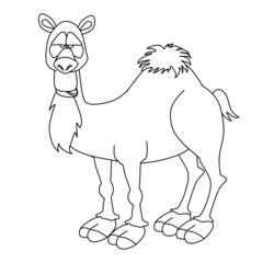 Malvorlage: Kamel (Tiere) #1704 - Druckbare Malvorlagen