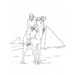 Malvorlage: Kamel (Tiere) #1713 - Druckbare Malvorlagen