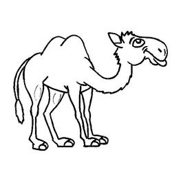 Malvorlage: Kamel (Tiere) #1719 - Druckbare Malvorlagen