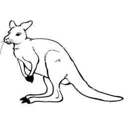 Malvorlage: Känguru (Tiere) #9108 - Kostenlose Malvorlagen zum Ausdrucken