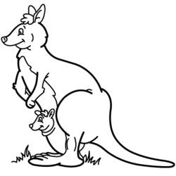 Malvorlage: Känguru (Tiere) #9115 - Kostenlose Malvorlagen zum Ausdrucken