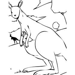 Malvorlage: Känguru (Tiere) #9119 - Kostenlose Malvorlagen zum Ausdrucken