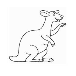 Malvorlage: Känguru (Tiere) #9120 - Kostenlose Malvorlagen zum Ausdrucken