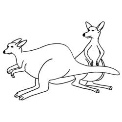 Malvorlage: Känguru (Tiere) #9136 - Kostenlose Malvorlagen zum Ausdrucken
