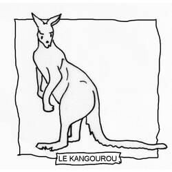 Malvorlage: Känguru (Tiere) #9153 - Kostenlose Malvorlagen zum Ausdrucken