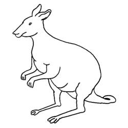 Malvorlage: Känguru (Tiere) #9157 - Kostenlose Malvorlagen zum Ausdrucken