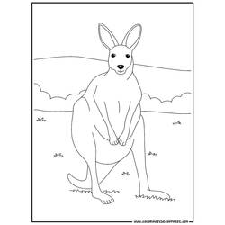 Malvorlage: Känguru (Tiere) #9180 - Kostenlose Malvorlagen zum Ausdrucken