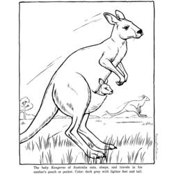 Malvorlage: Känguru (Tiere) #9183 - Kostenlose Malvorlagen zum Ausdrucken
